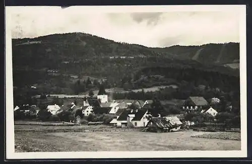 AK Niederwölz /Steiermark, Ortsansicht aus der Vogelschau