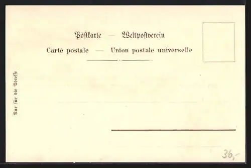 Lithographie Baden-Baden, Totalansicht mit Kirche, Schwarzwälder Trachten