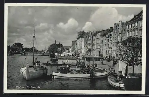 AK Elbing, Am Fischmarkt