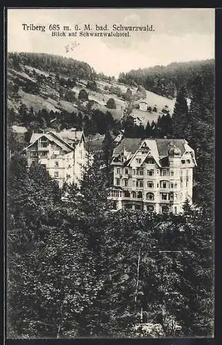 AK Triberg /Bad. Schwarzwald, Blick auf Schwarzwaldhotel