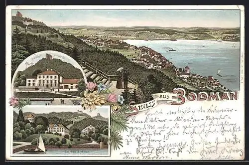 Lithographie Bodman, Gasthaus zur Linde, Schloss, Totalansicht