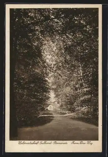 AK Bemerode, Gasthaus Waldwirtschaft Seelhorst