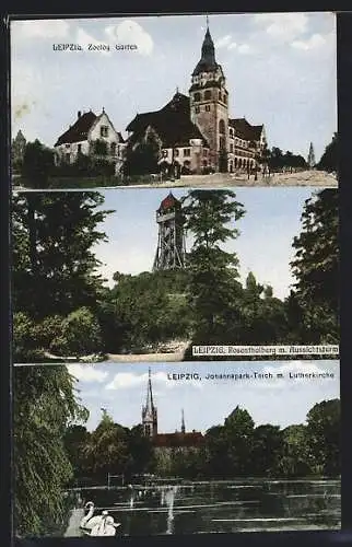 AK Leipzig, Zoologischer Garten, Rosenthalberg mit Aussichtsturm