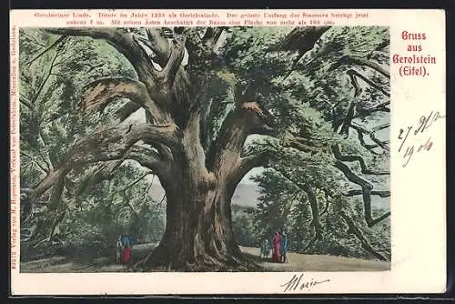 Künstler-AK Gerolstein, Zeichnung der Gerolsteiner Linde