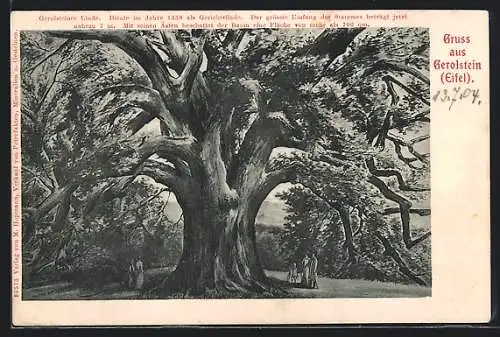Künstler-AK Gerolstein, Zeichnung der Gerolsteiner Linde