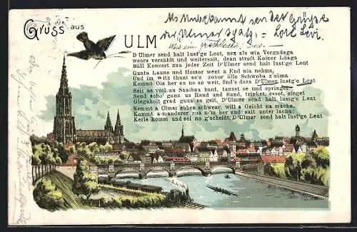 Lithographie Ulm / Donau, Gesamtansicht