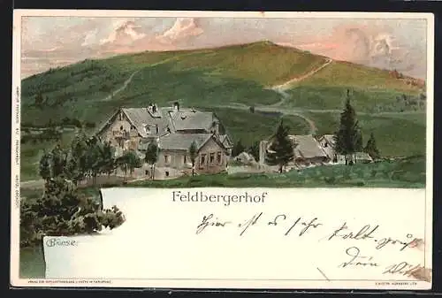 Künstler-AK C.Biese: Feldberger Hof, Berge im Hintergrund