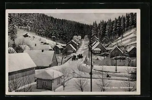 AK Tanne i. Harz, Waldstrasse im Winter