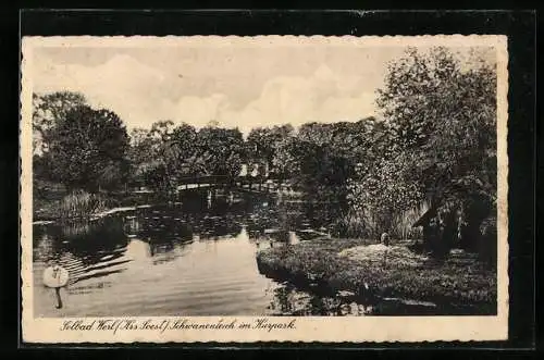 AK Werl /Kr. Soest, Schwanenteich im Kurpark