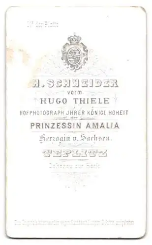 Fotografie H. Schneider, Teplitz, Bürgerlicher Herr mit Schnurrbart