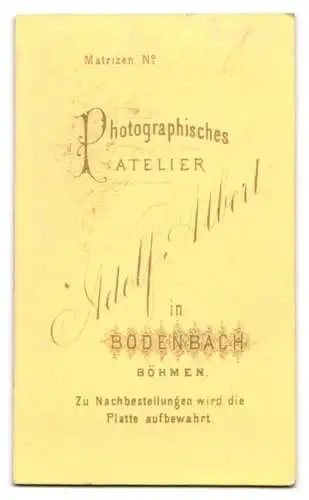 Fotografie Adolf Albert, Bodenbach, Junge Dame mit Kette