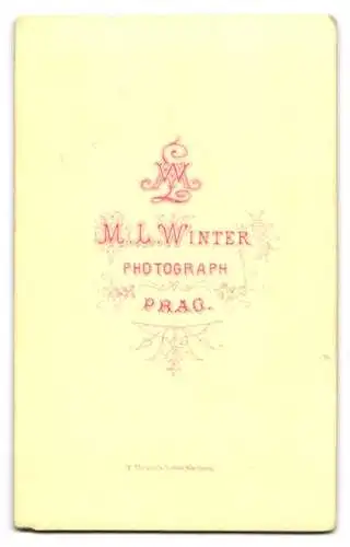 Fotografie M. L. Winter, Prag, Elegante Dame mit Samtschleife am Kragen