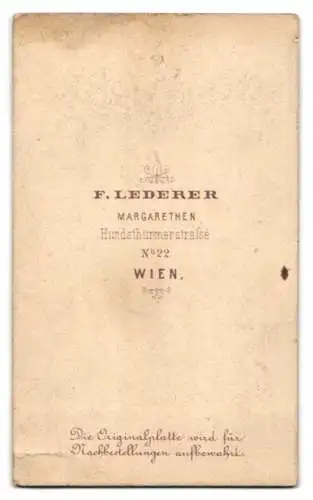 Fotografie F. Lederer, Wien, Hundsthurmerstrasse 22, Elegante Dame im Samtkleid mit hochgesteckten Haaren