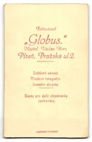 Fotografie Atelier Globus, Plzen, Prazské ul. 2, Jugendlicher im Anzug mit Flaggen-Brosche