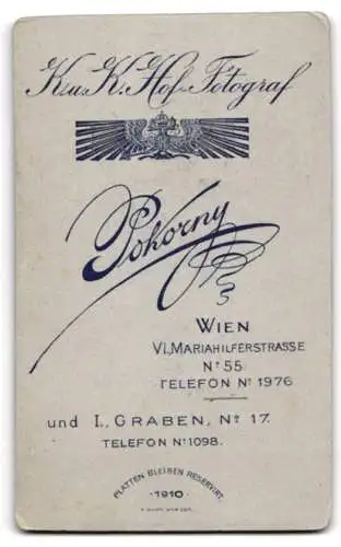 Fotografie Pokorny, Wien, Mariahilferstrasse 55, Eleganter junger Mann mit weisser Fliege