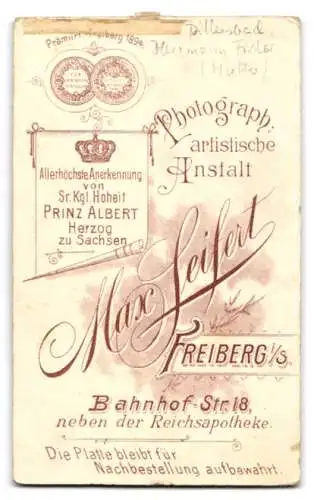 Fotografie Max Seifert, Freiberg i. S., Bahnhofstr. 18, Elegante Dame in tailliertem Kleid mit Fächer in der Hand