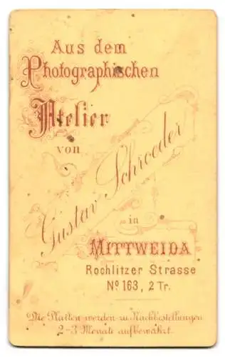 Fotografie Gustav Schroeder, Mittweida, Rochlitzer Strasse 163, Junger Mann in Anzug und Krawatte