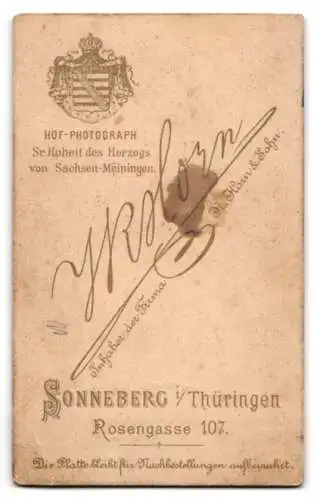Fotografie J. R. Horn, Sonneberg i. Thüringen, Rosengasse 107, Junge Frau in Kleid mit Puffärmeln und Halskette