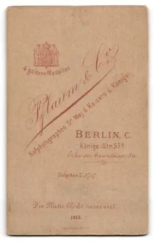 Fotografie Pflaum & Co., Berlin, Königs-Str. 57a, Bürgerliche in gestreiftem Kleid mit Puffärmeln