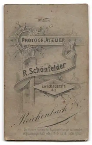 Fotografie R. Schönfelder, Reichenbach i. V., Zwickauerstr. 42, Elegante Dame in hochgeschlossenem Kleid