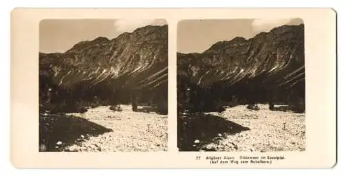 Stereo-Fotografie NPG, Berlin, Ansicht Oberstdorf, Seinmeer im Seealptal auf dem Weg zum Nebelhorn