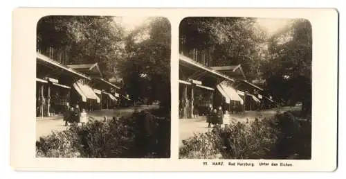 Stereo-Fotografie NPG, Berlin, Ansicht Bad Harzburg, Pormenade Unter den Eichen mit Geschäften