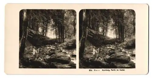 Stereo-Fotografie NPG, Berlin, Ansicht Ilsenburg, Künstler mit Staffelei malt Bild von der Partie im Ilsetal