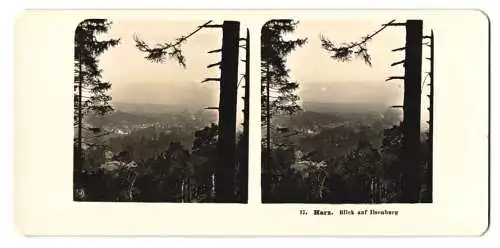 Stereo-Fotografie NPG, Berlin, Ansicht Ilsenburg, Blick aus dem Wald nach dem Ort