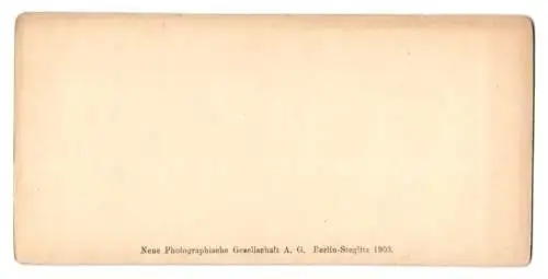 Stereo-Fotografie NPG, Berlin, Ansicht Mainz, Klostergarten und Kreuzgang am Dom