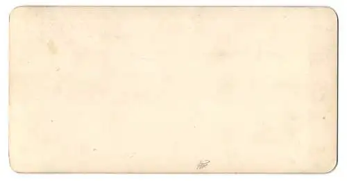 Stereo-Fotografie Würthle & Sohn, Salzburg, Ansicht Berchtesgaden, Blick nach dem Ort von der Villa Alpenrose gesehen