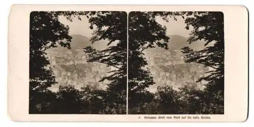 Stereo-Fotografie NPG, Berlin, Ansicht Karlsbad, Blick vom Wald auf die Stadt mit kath. Kirche