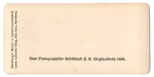 Stereo-Fotografie NPG, Berlin, Ansicht Bern, der Bundespalast und die Bundesterrasse