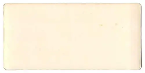 Stereo-Fotografie NPG, Berlin, Ansicht Bern, Gesamtansicht mit Brücke