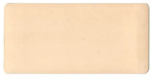 Stereo-Fotografie NPG, Berlin, Ansicht Interlaken, Sonnenuntergang mit Herderkulm und Thunersee