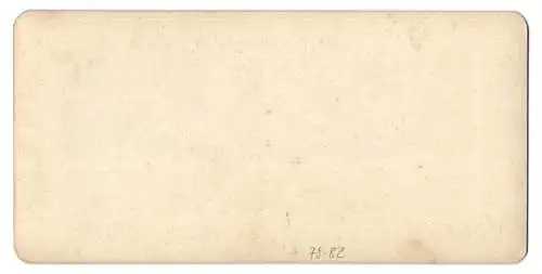 Stereo-Fotografie NPG, Berlin-Steglitz, junge Brünette Dame im Sonntagskleid trinkt Tee