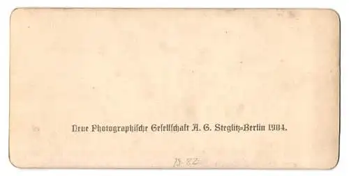 Stereo-Fotografie NPG, Berlin-Steglitz, Mädchen wohl gekleidet bei der Gartenarbeit