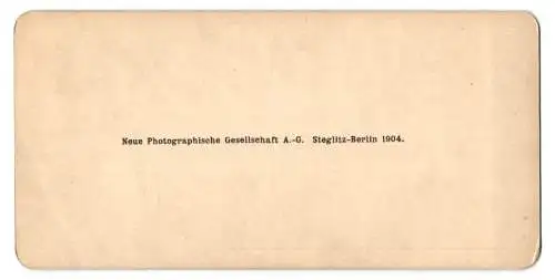 Stereo-Fotografie NPG, Berlin-Steglitz, Edelmann überreicht seiner Liebsten Blumen während er kniet