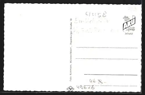 AK Neuenhaus / Grafsch. Bentheim, Neuenhauser Strasse, Ehrenmal, Kath. Kirche, Mittelschule