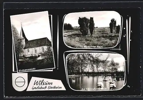 AK Wilsum /Grafschaft Bentheim, Schonefelds-Teich, Kirche, Wacholder-Hain