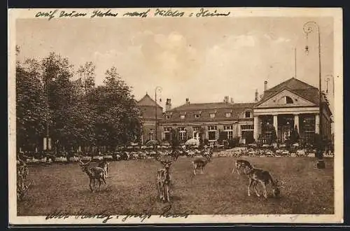 AK Hannover-Kirchrode, Restaurant Wirtschaftsbetrieb Tiergarten, Inh. Ed. Schwarze