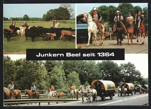 AK Junkern-Beel über Lathen, Campingplatz & Appartements mit Reitzentrum und Planwagenverleih Familie Schulte-Übermühlen