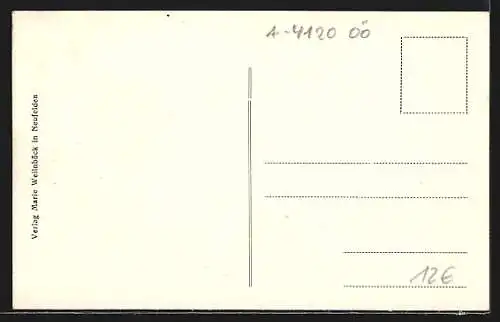 AK Neufelden /O. Ö., Strassenpartie mit Fleischhauer-Geschäft