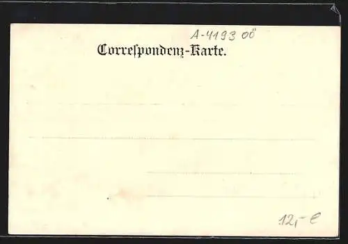 AK Reichenthal /O.-Ö., Strassenpartie mit Kirche