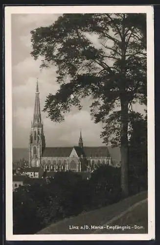 AK Linz a.d. Donau, Maria Empfängnisdom