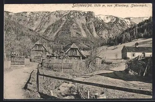 AK Altenberg an der Rax, Partie auf der Schneealpe