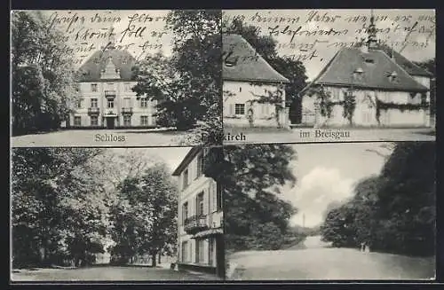 AK Feldkirch /Breisgau, Schloss, Strassenpartie