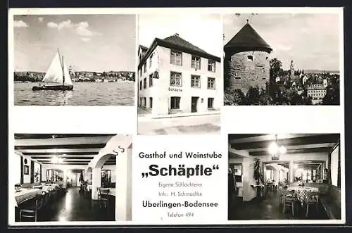 AK Überlingen a. Bodensee, Gasthaus & Weinstube Schäpfle