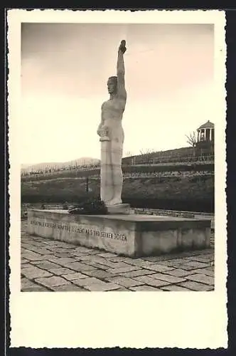 Foto-AK Neustadt a. d. Weinstrasse, Kriegerdenkmal mit Kränzen