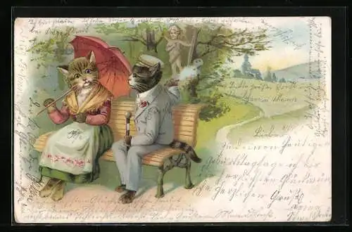Künstler-AK Katzenstudent mit Dame auf einer Bank