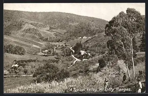 AK Mr Lofty Ranges, A Typical Valley